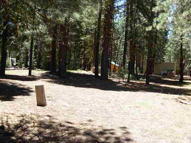 7329 Chester Warner Valley Road Chester, CA 96020 - Photo 3 of 6 Gallery Image 3