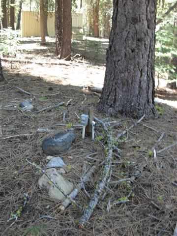 7329 Chester Warner Valley Road Chester, CA 96020 - Photo 5 of 6 Gallery Image 5