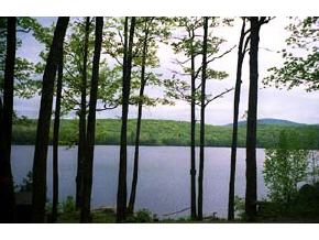 12 Goose Pond Road Canaan, NH 03741 - Photo 3 of 3 Gallery Image 3