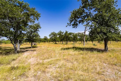 a view of park with trees
