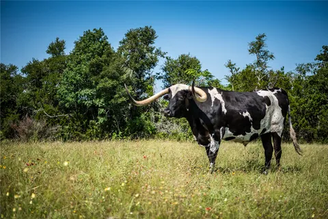 $6,295,000 | 12350 Highway 16, Fredericksburg, TX 78624