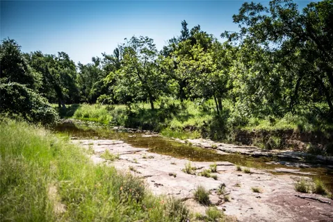 a view of a tree with a yard