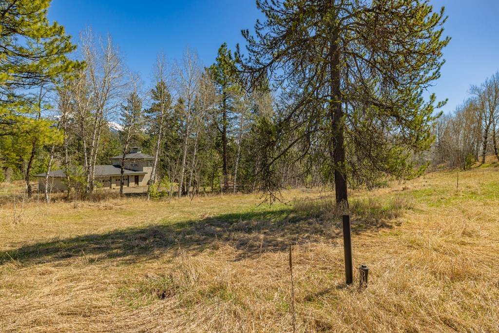 Tbd Morell Road McCall, ID 83638 - Photo 14 of 22