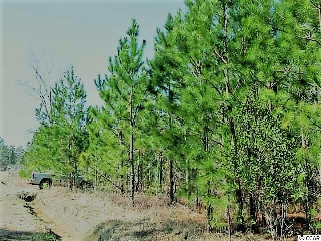Lot 2 Dunn Short Cut Road Conway, SC 29527 - Photo 2 of 10 Gallery Image 2