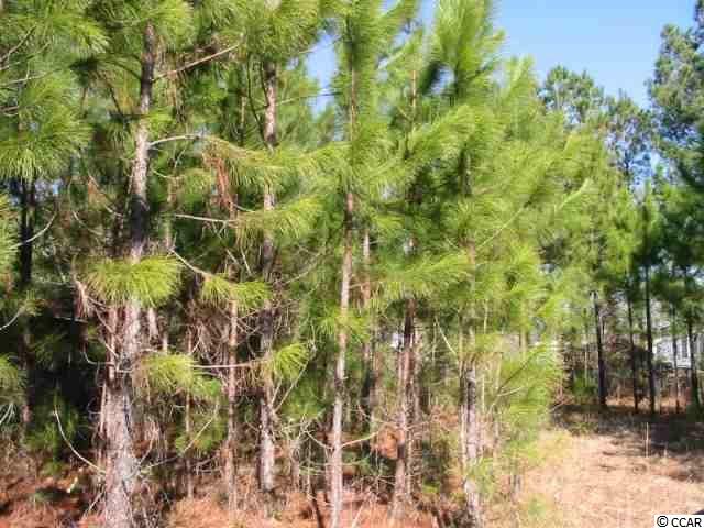 Lot 2 Dunn Short Cut Road Conway, SC 29527 - Photo 7 of 10 Gallery Image 7