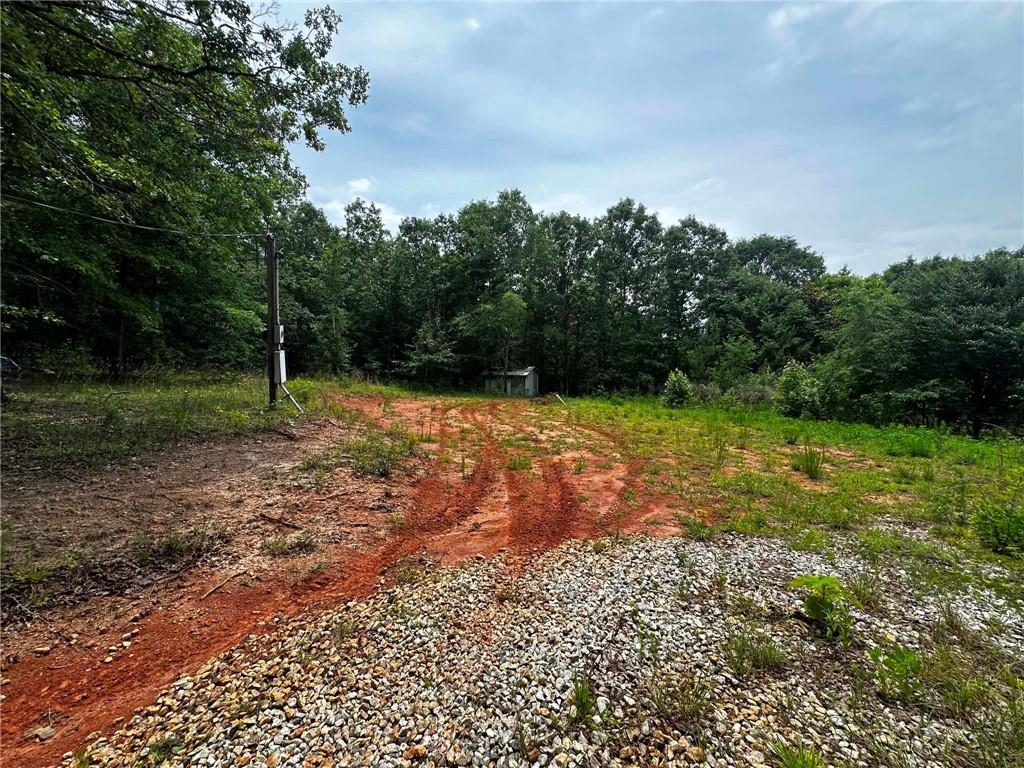 1957 Old Carnesville Road Commerce, GA 30530 - Photo 5 of 6 a backyard of a house with lots of green space