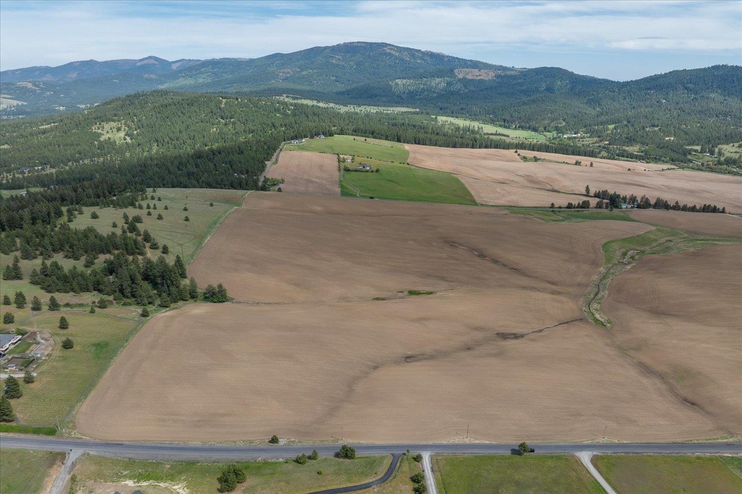 -xxx South Jackson Road, Unit LOT 15 Mica, WA 99023 - Photo 12 of 35