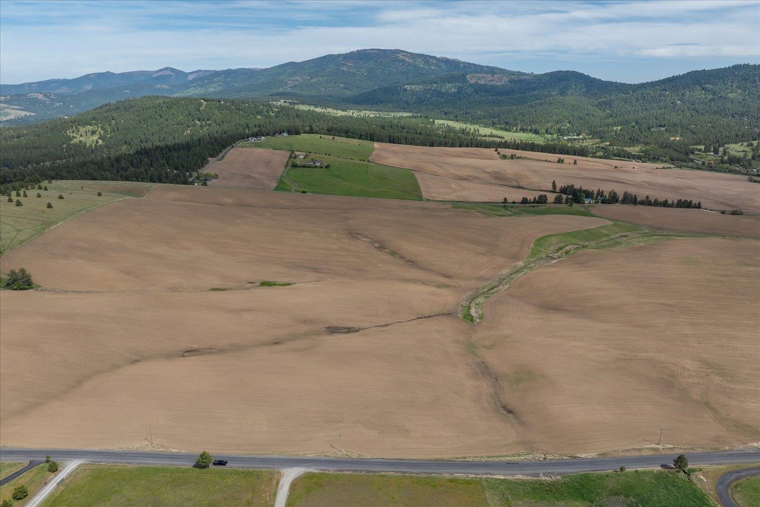 -xxx South Jackson Road, Unit LOT 15 Mica, WA 99023 - Photo 13 of 35