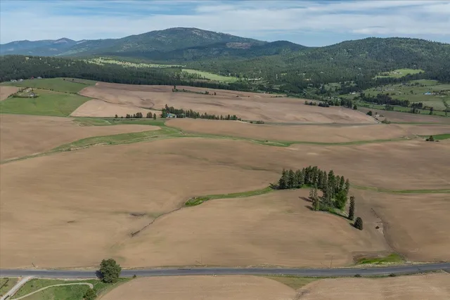 $275,000 | -xxx South Jackson Road, Unit LOT 15, Mica, WA 99023