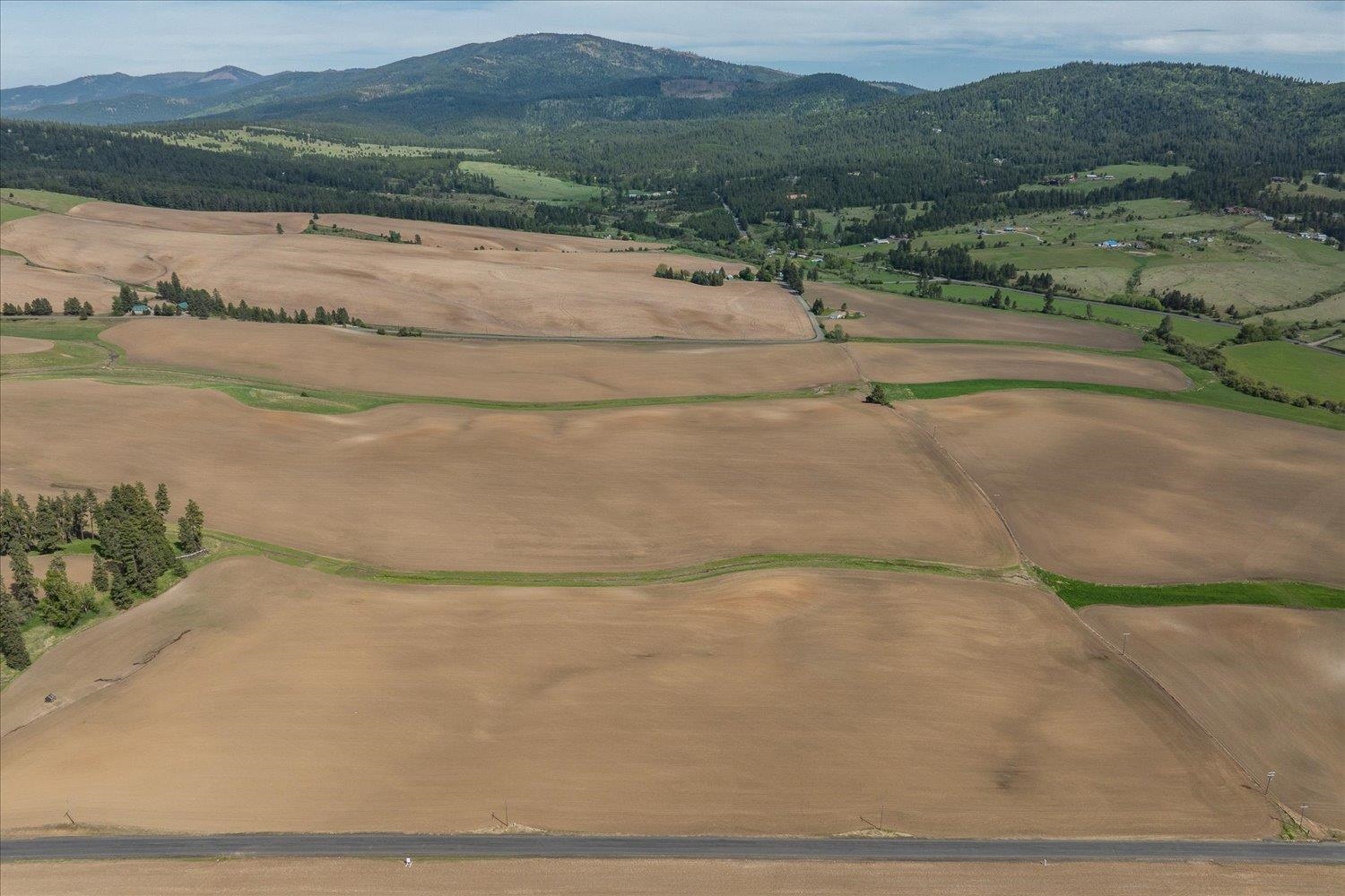 -xxx South Jackson Road, Unit LOT 15 Mica, WA 99023 - Photo 15 of 35