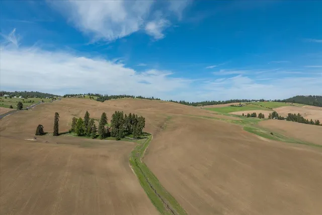 $275,000 | -xxx South Jackson Road, Unit LOT 15, Mica, WA 99023