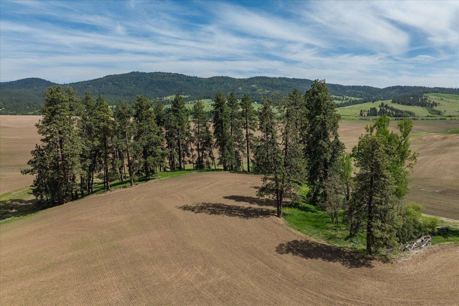 -xxx South Jackson Road, Unit LOT 15 Mica, WA 99023 - Photo 17 of 35