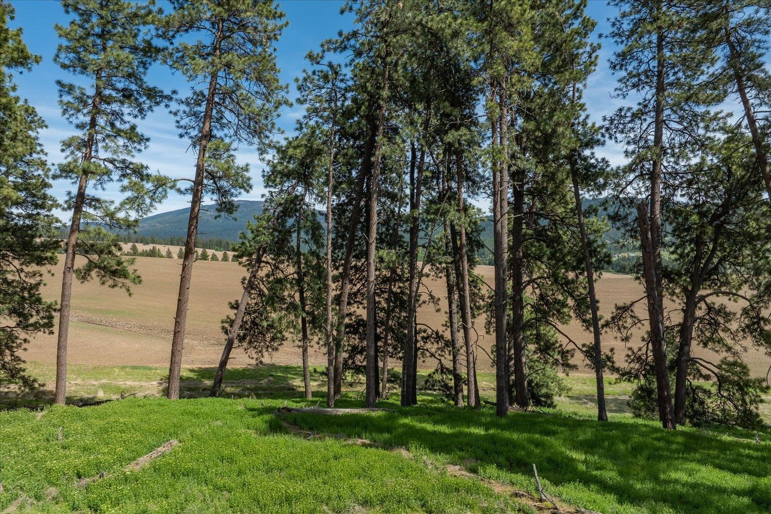 -xxx South Jackson Road, Unit LOT 15 Mica, WA 99023 - Photo 18 of 35