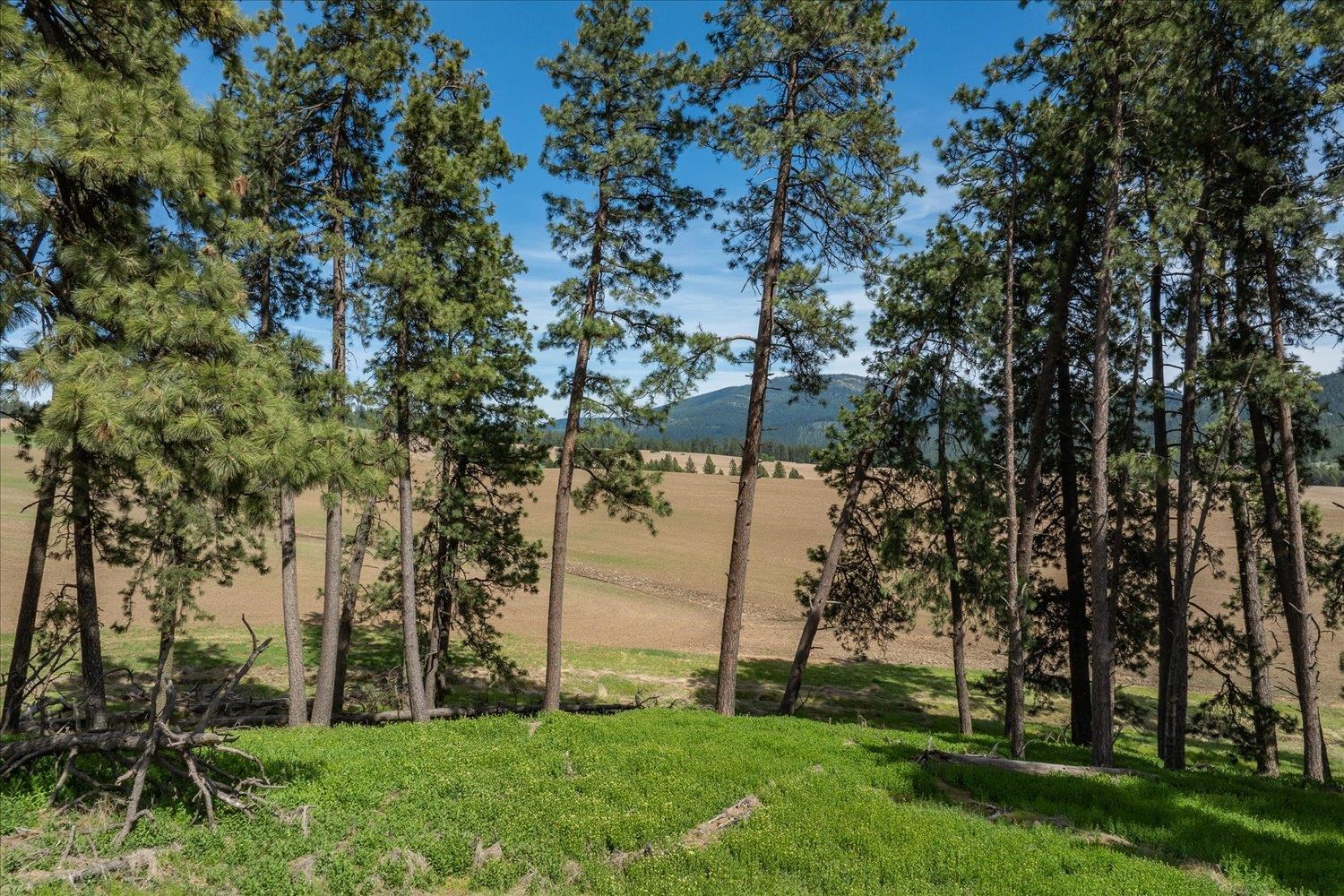 -xxx South Jackson Road, Unit LOT 15 Mica, WA 99023 - Photo 19 of 35