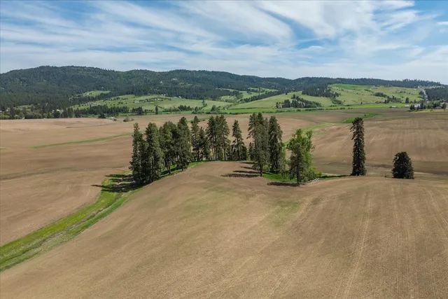 $275,000 | -xxx South Jackson Road, Unit LOT 15, Mica, WA 99023