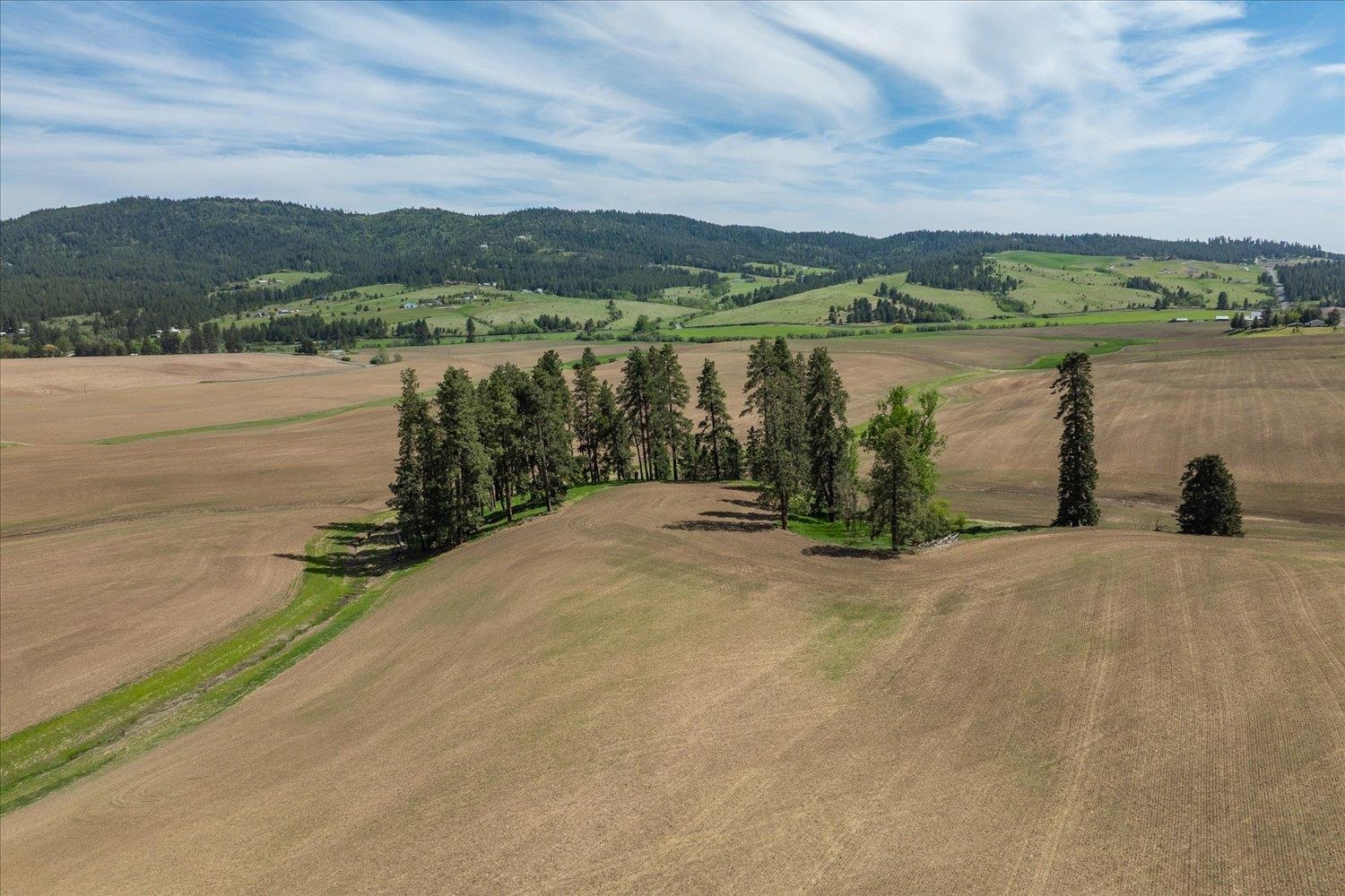 -xxx South Jackson Road, Unit LOT 15 Mica, WA 99023 - Photo 20 of 35