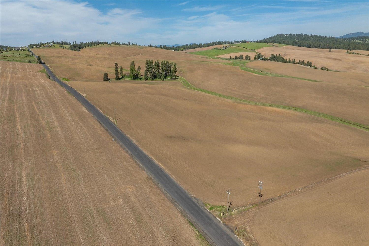 -xxx South Jackson Road, Unit LOT 15 Mica, WA 99023 - Photo 22 of 35