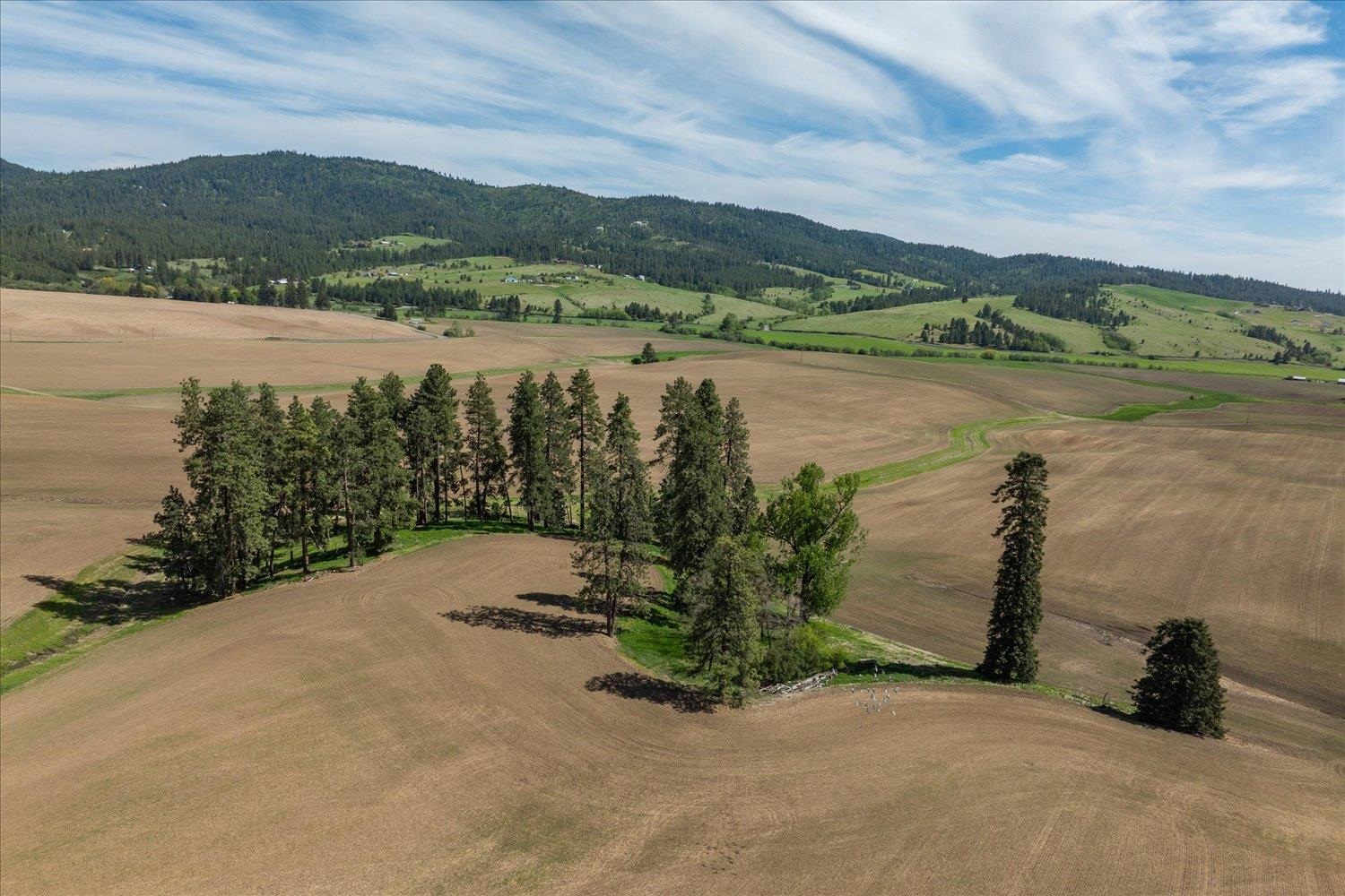 -xxx South Jackson Road, Unit LOT 15 Mica, WA 99023 - Photo 23 of 35