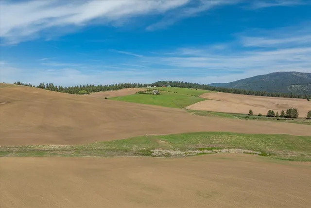 $275,000 | -xxx South Jackson Road, Unit LOT 15, Mica, WA 99023