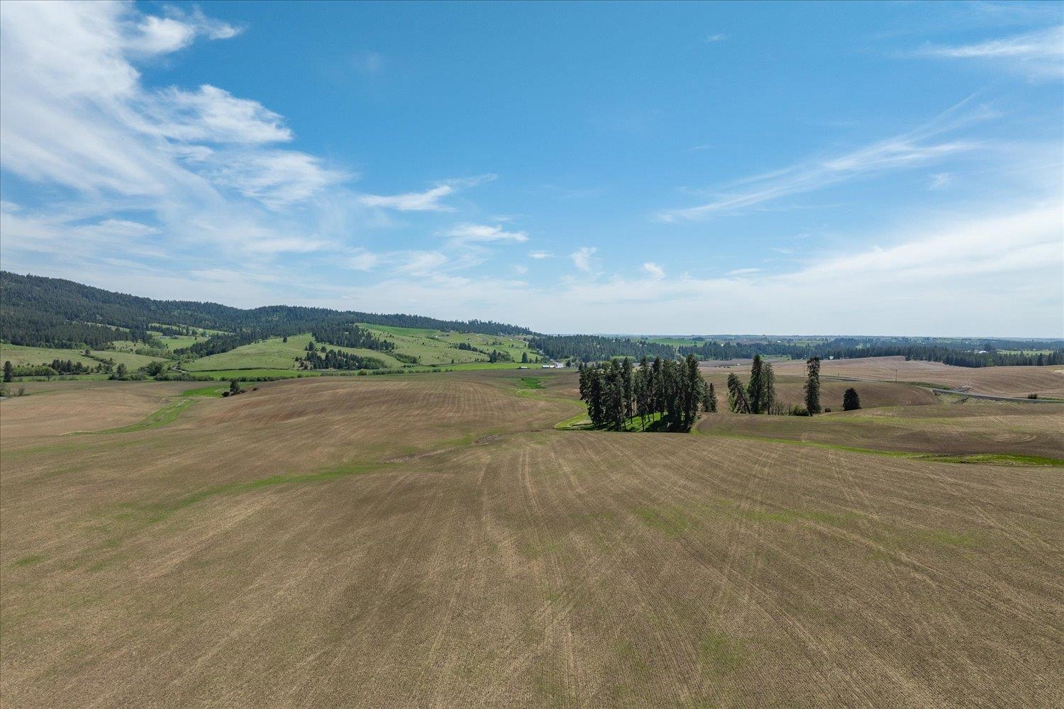 -xxx South Jackson Road, Unit LOT 15 Mica, WA 99023 - Photo 25 of 35