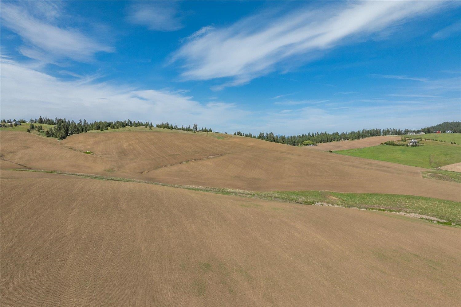 -xxx South Jackson Road, Unit LOT 15 Mica, WA 99023 - Photo 26 of 35