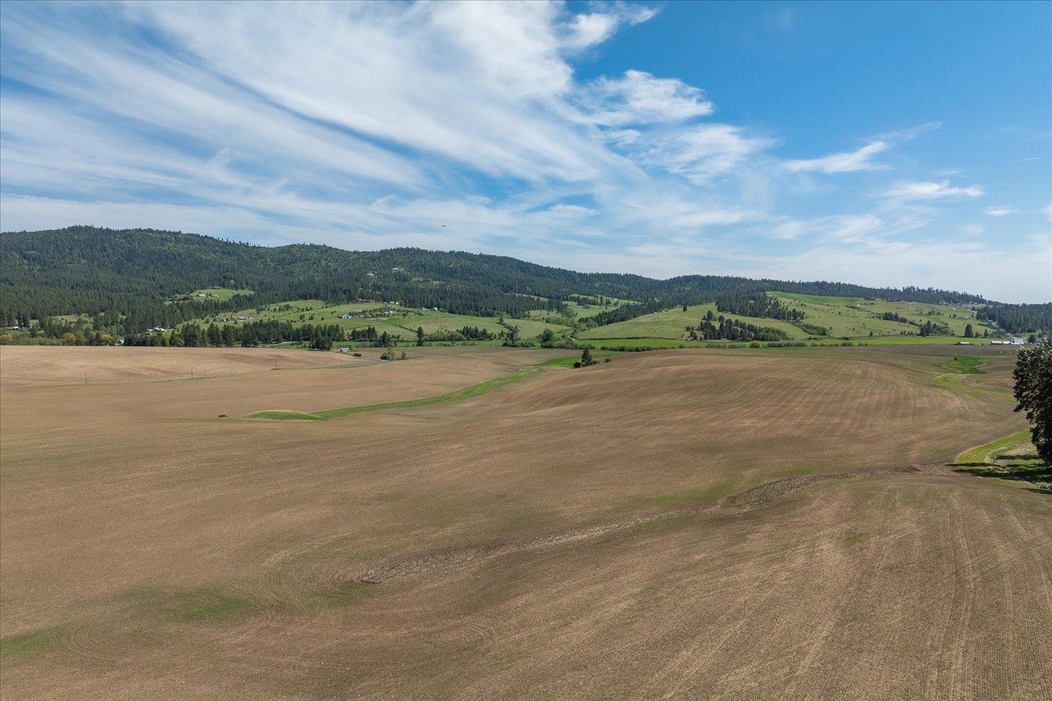 -xxx South Jackson Road, Unit LOT 15 Mica, WA 99023 - Photo 27 of 35