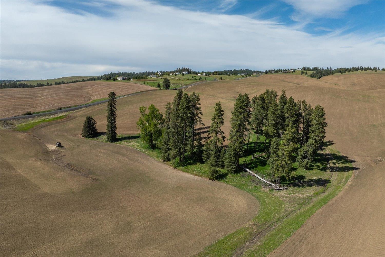 -xxx South Jackson Road, Unit LOT 15 Mica, WA 99023 - Photo 30 of 35