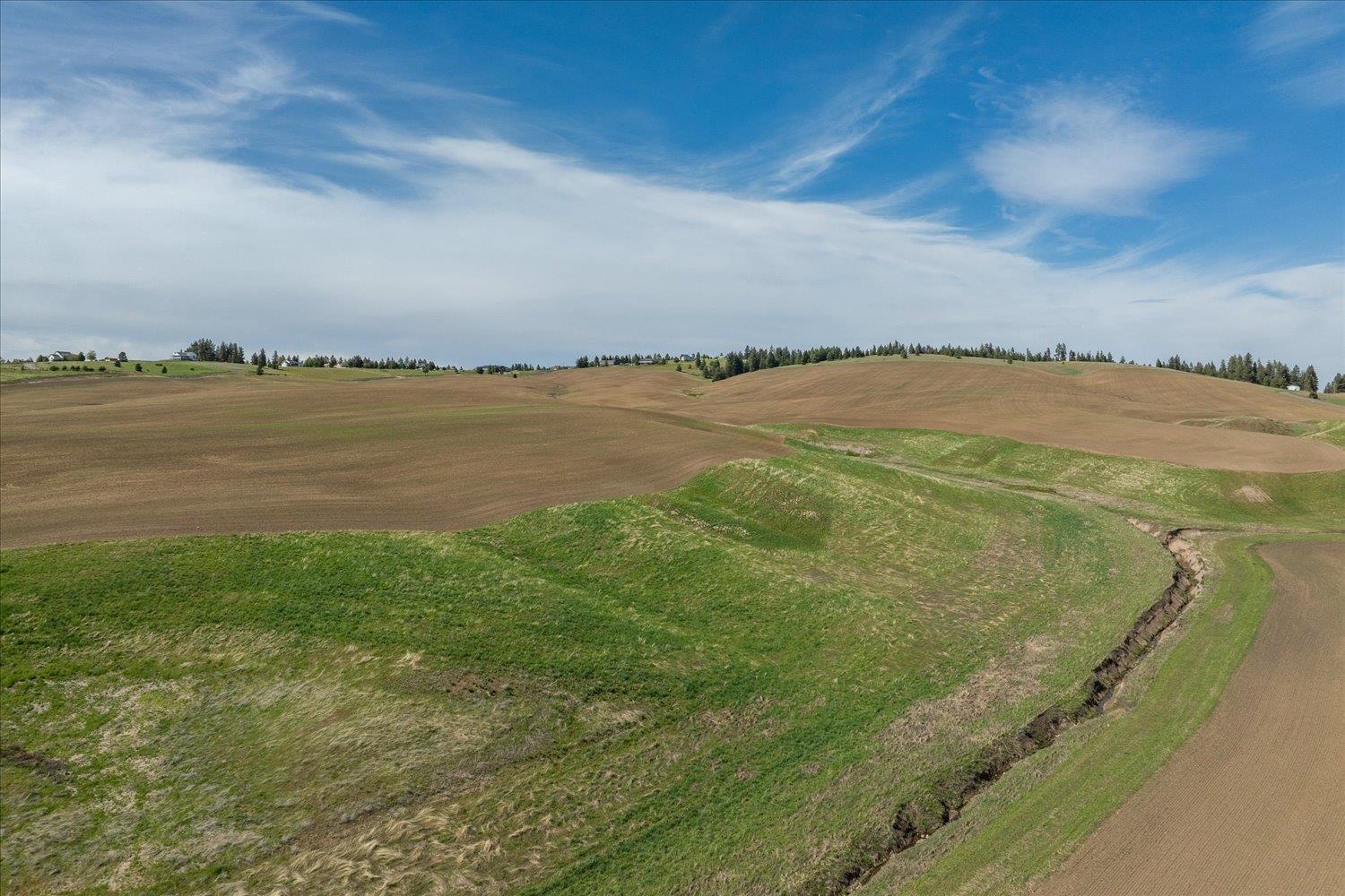 -xxx South Jackson Road, Unit LOT 15 Mica, WA 99023 - Photo 33 of 35