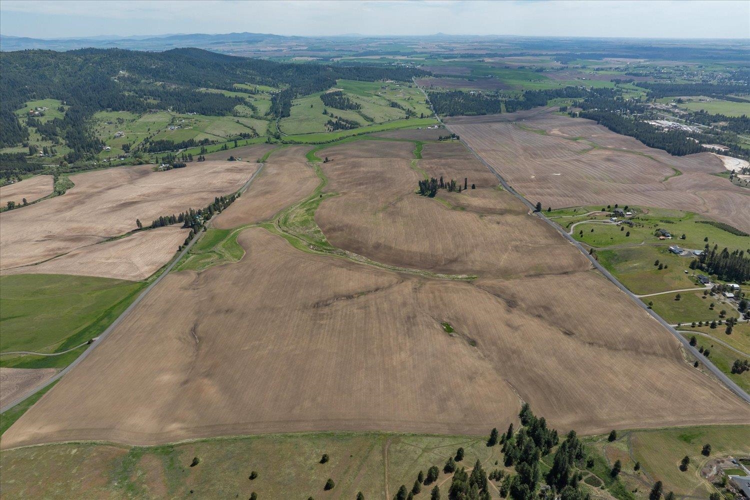 -xxx South Jackson Road, Unit LOT 15 Mica, WA 99023 - Photo 9 of 35