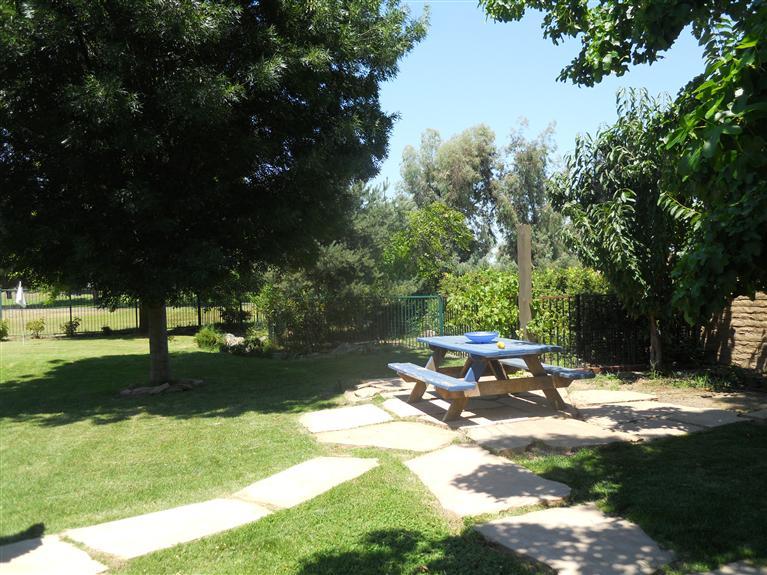 19472 Farallon Road Madera, CA 93638 - Photo 26 of 37 Park like setting.