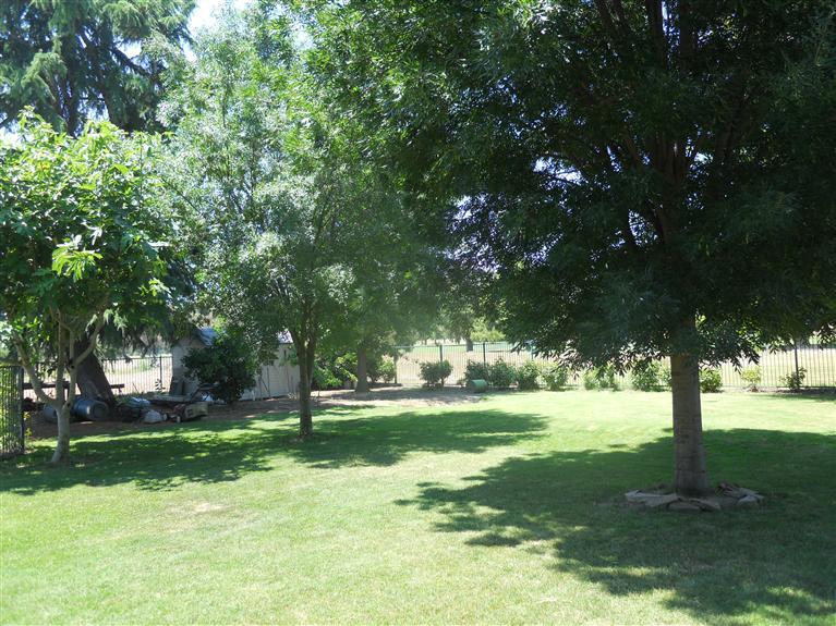 19472 Farallon Road Madera, CA 93638 - Photo 27 of 37 Mature trees, Cedars,Redwoods, Fig, Citrus, Japanese Maple,Apricot, peaches and apples.