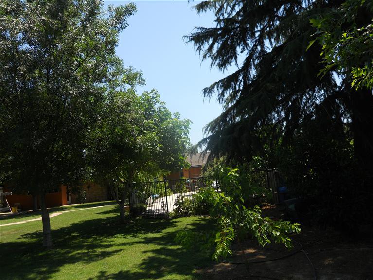 19472 Farallon Road Madera, CA 93638 - Photo 34 of 37 Shade.