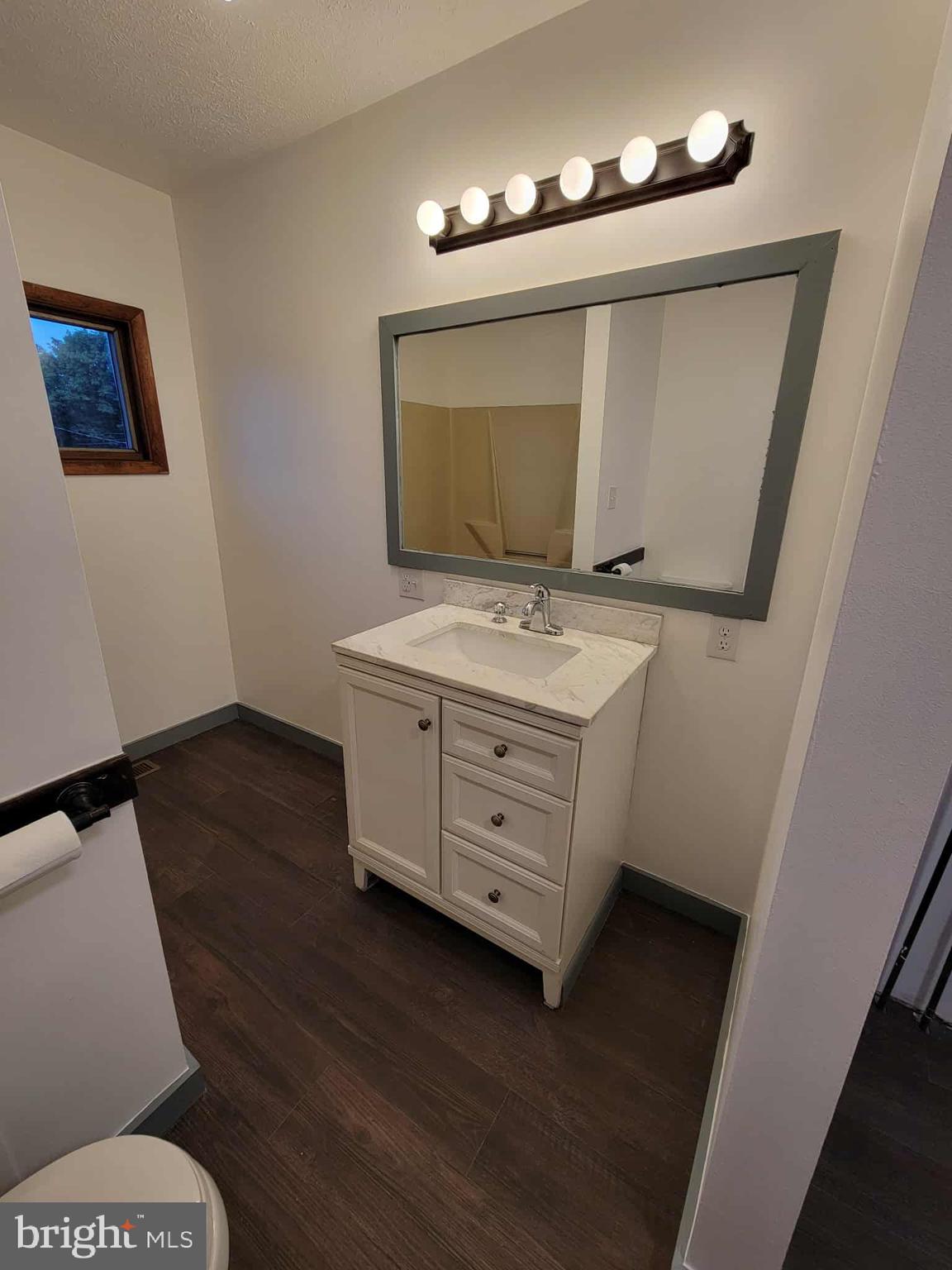 14204 Temple Street Ellerslie, MD 21529 - Photo 15 of 31 a bathroom with a sink a toilet a mirror and lamp