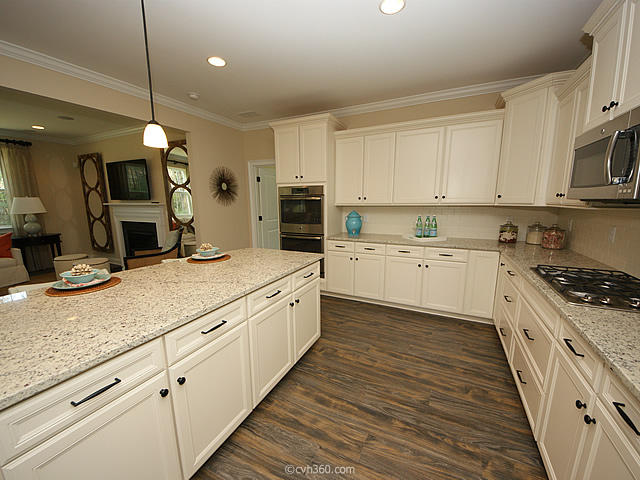 111 Koban Dori Road Summerville, SC 29486 - Photo 8 of 37 Kitchen View II