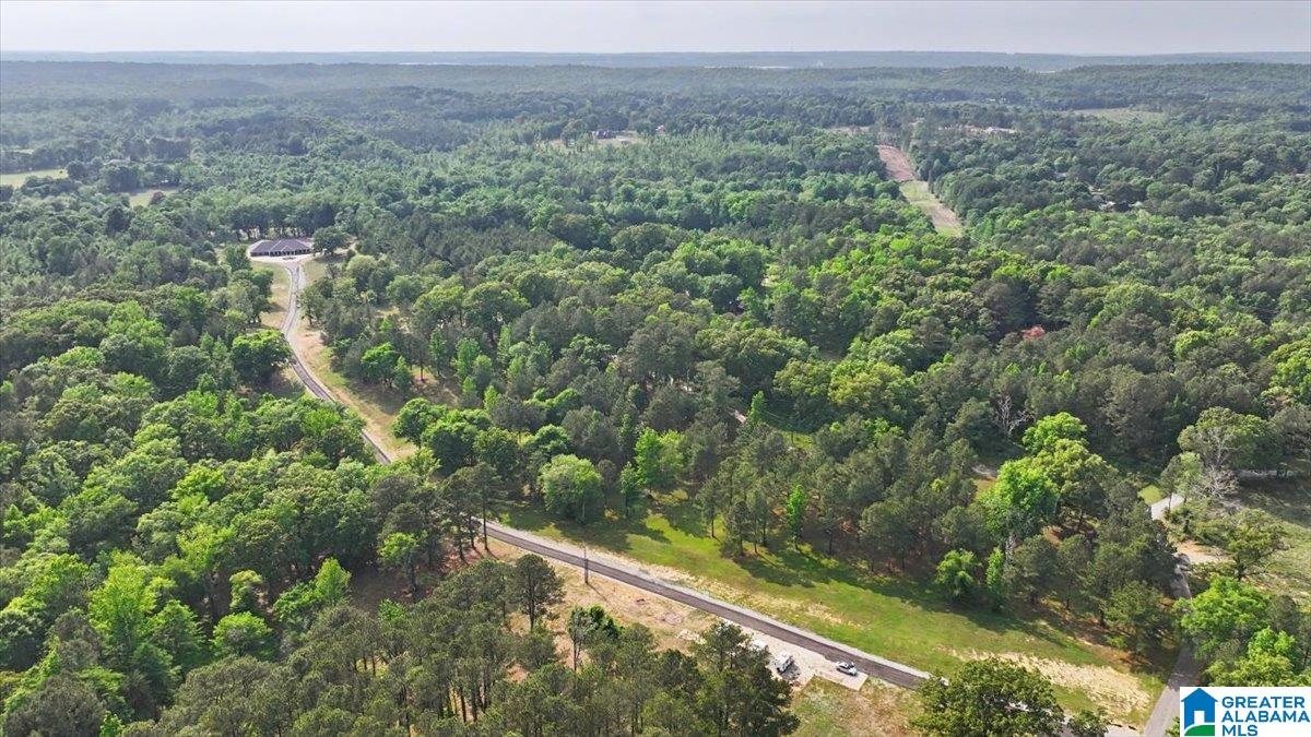 4550 Newbold Road Bessemer, AL 35022 - Photo 22 of 99