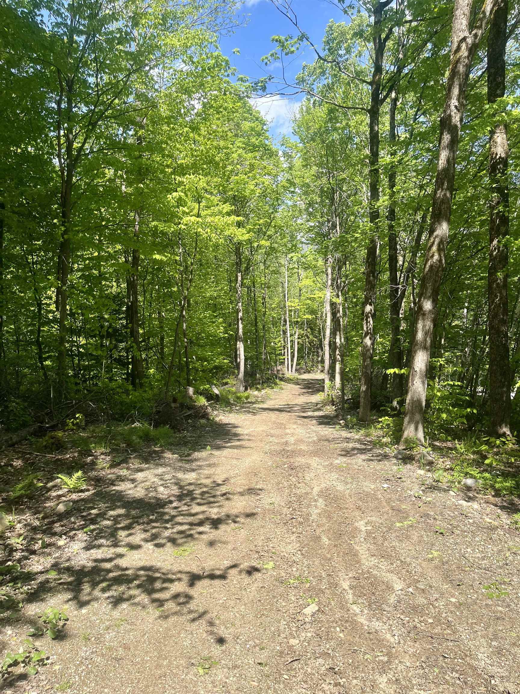 220 Middle Road Chittenden, VT 05763 - Photo 3 of 28 Gallery Image 3