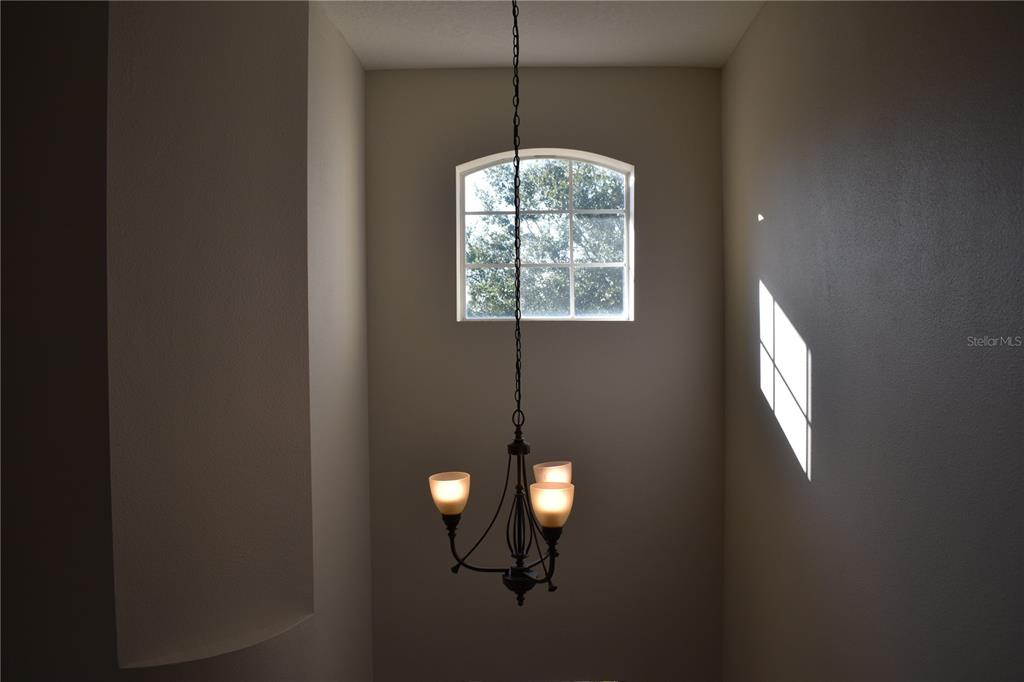15509 Montilla Loop Tampa, FL 33625 - Photo 15 of 20 a window in an empty room with windows