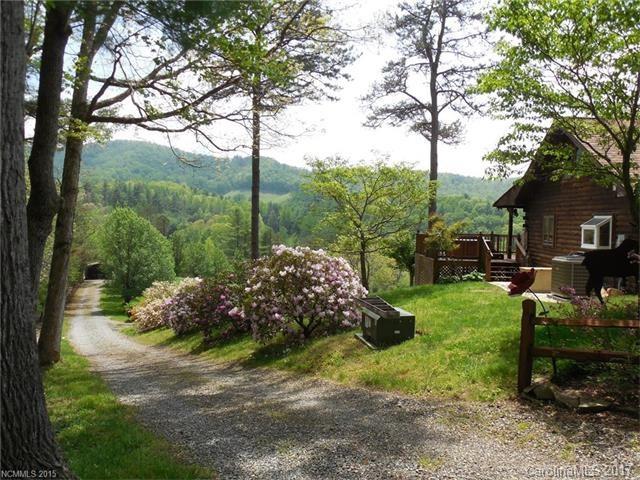 2205 Paint Fork Road Mars Hill, NC 28754 - Photo 3 of 24 Gallery Image 3