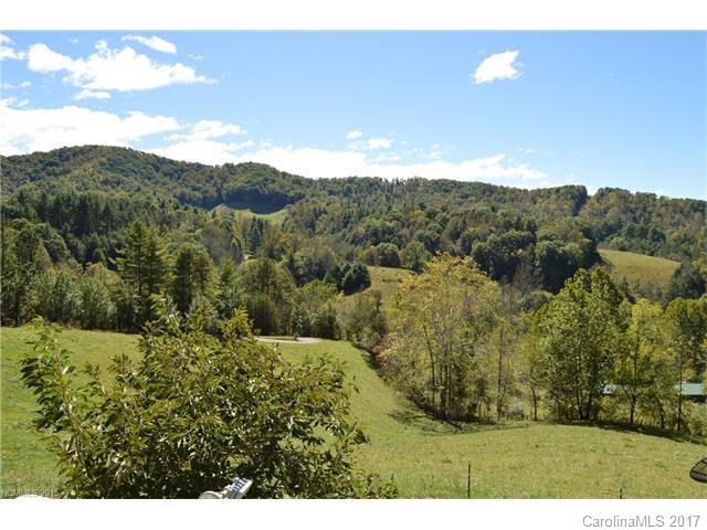 2205 Paint Fork Road Mars Hill, NC 28754 - Photo 23 of 24 Gallery Image 23