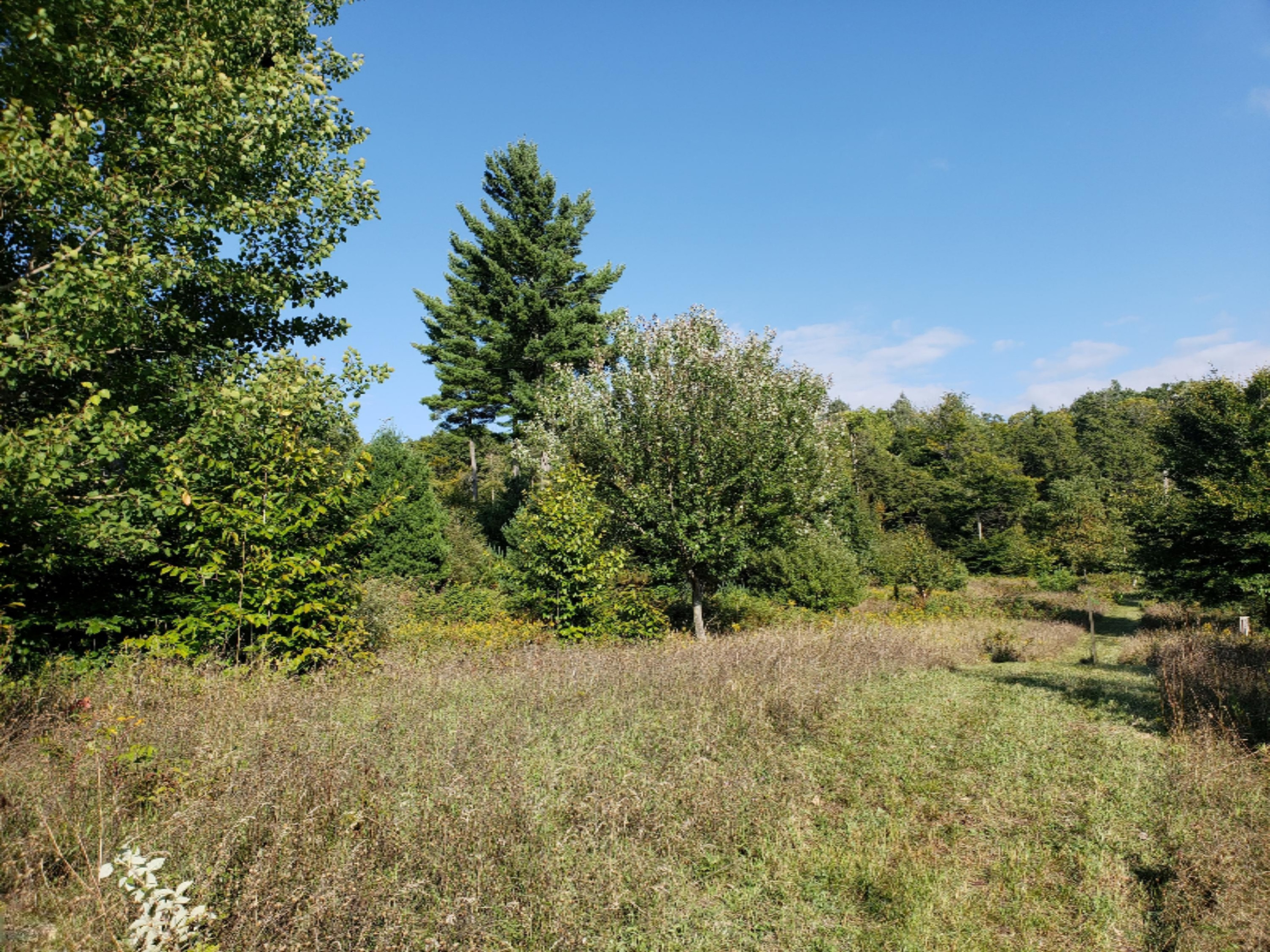 61 East Starlight Ridge Circle Onekama, MI 49675 - Photo 4 of 27 Lot 53