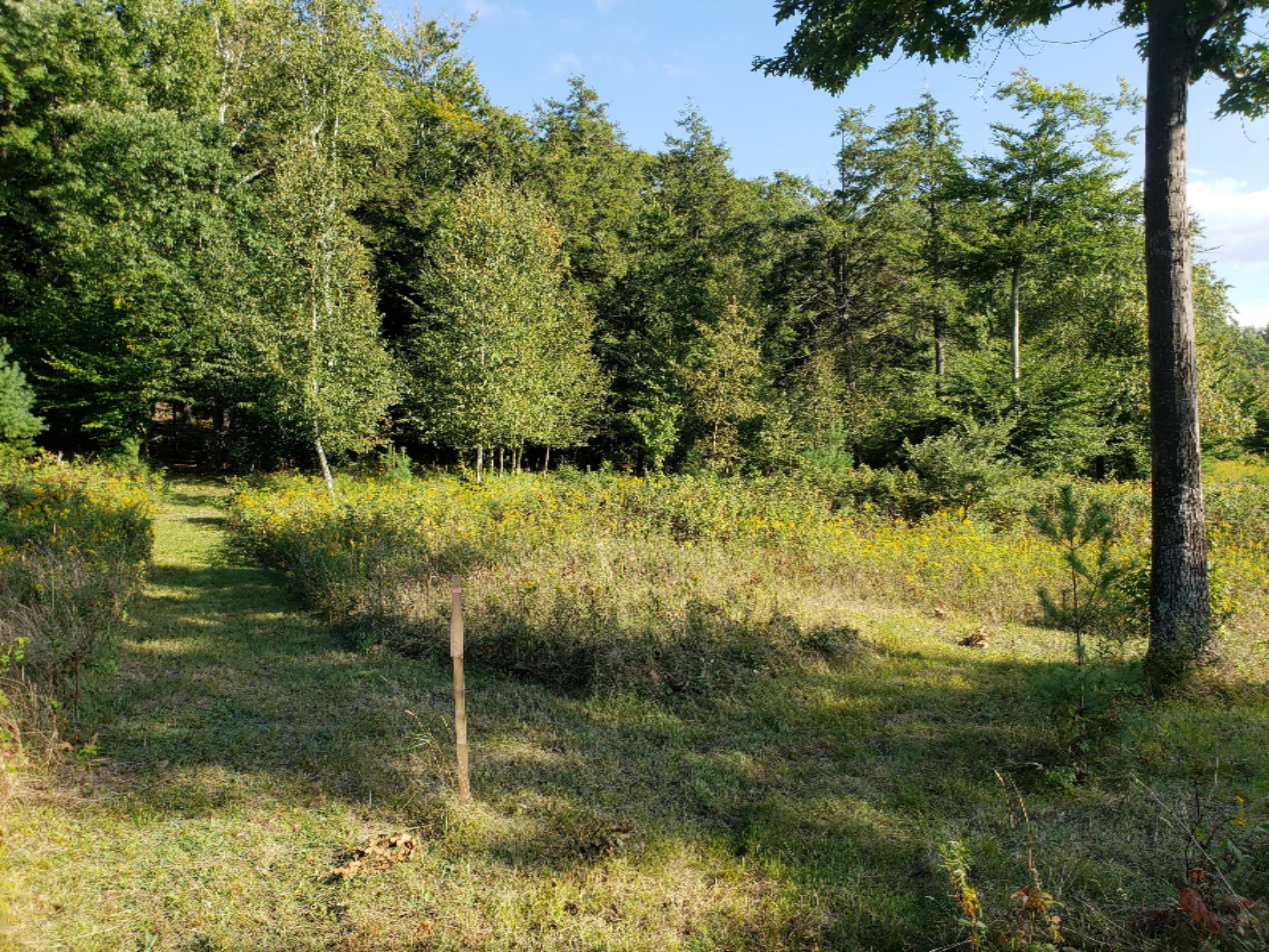 61 East Starlight Ridge Circle Onekama, MI 49675 - Photo 6 of 27 Lot 53