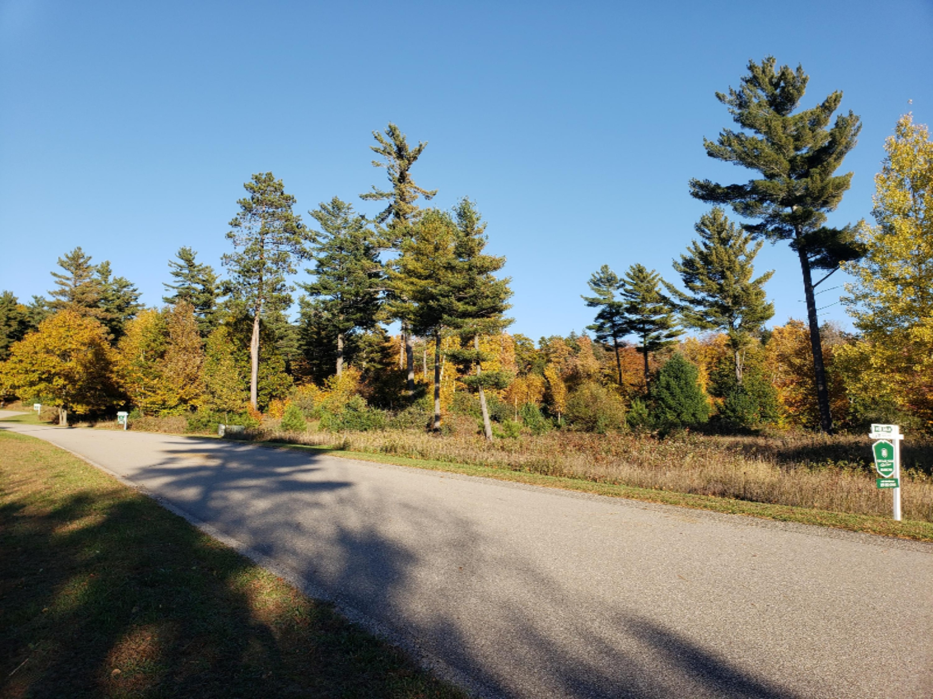 61 East Starlight Ridge Circle Onekama, MI 49675 - Photo 7 of 27 Maintained Roads
