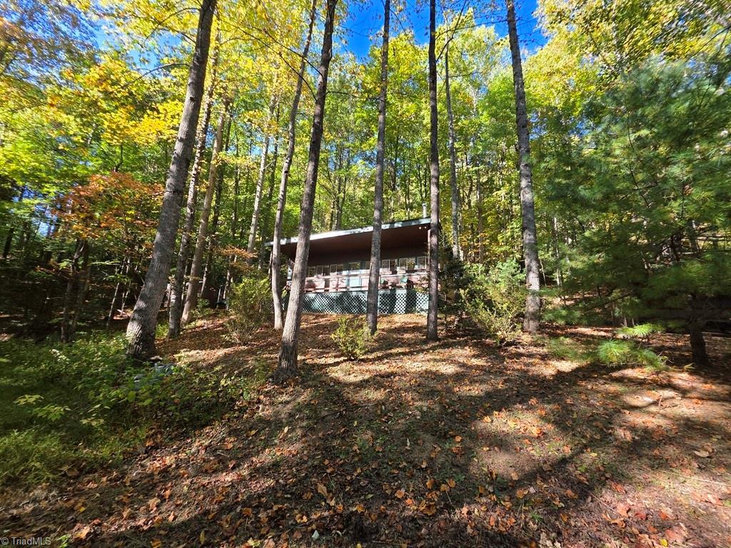 4091 Big Ivy Road Purlear, NC 28665 - Photo 5 of 41 Gallery Image 5