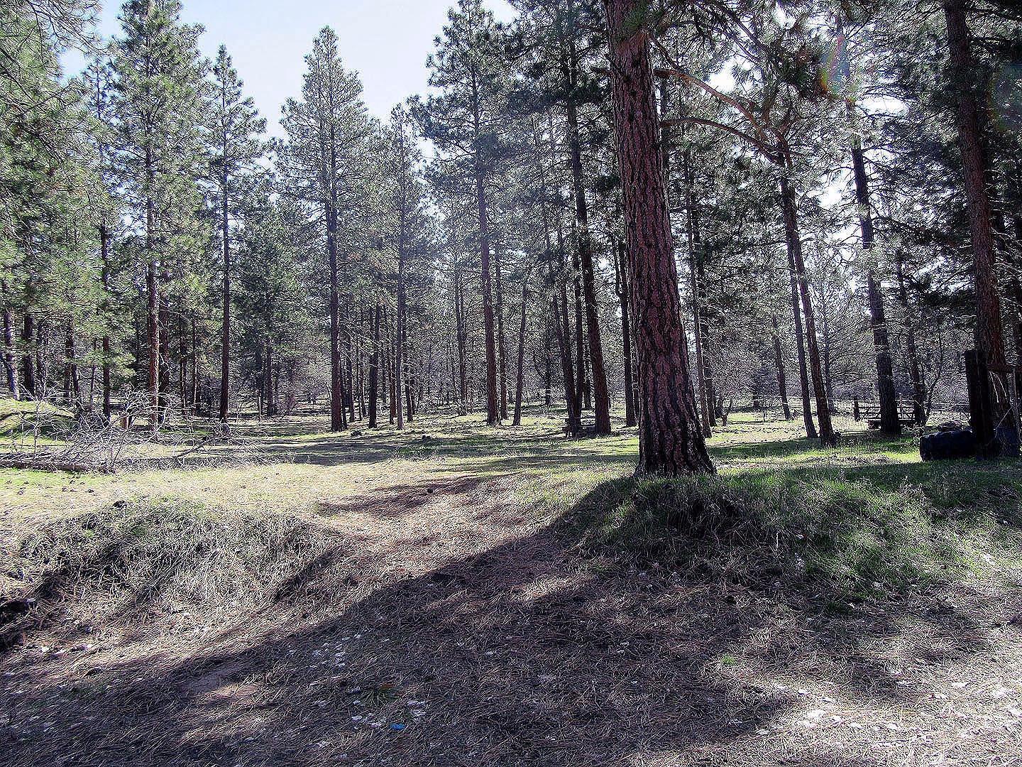 28045 Petersteiner Road Bonanza, OR 97623 - Photo 28 of 33 Additional Photo
