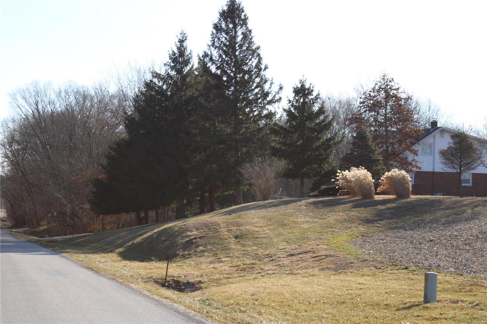 13438 Michael Road Highland, IL 62249 - Photo 9 of 47