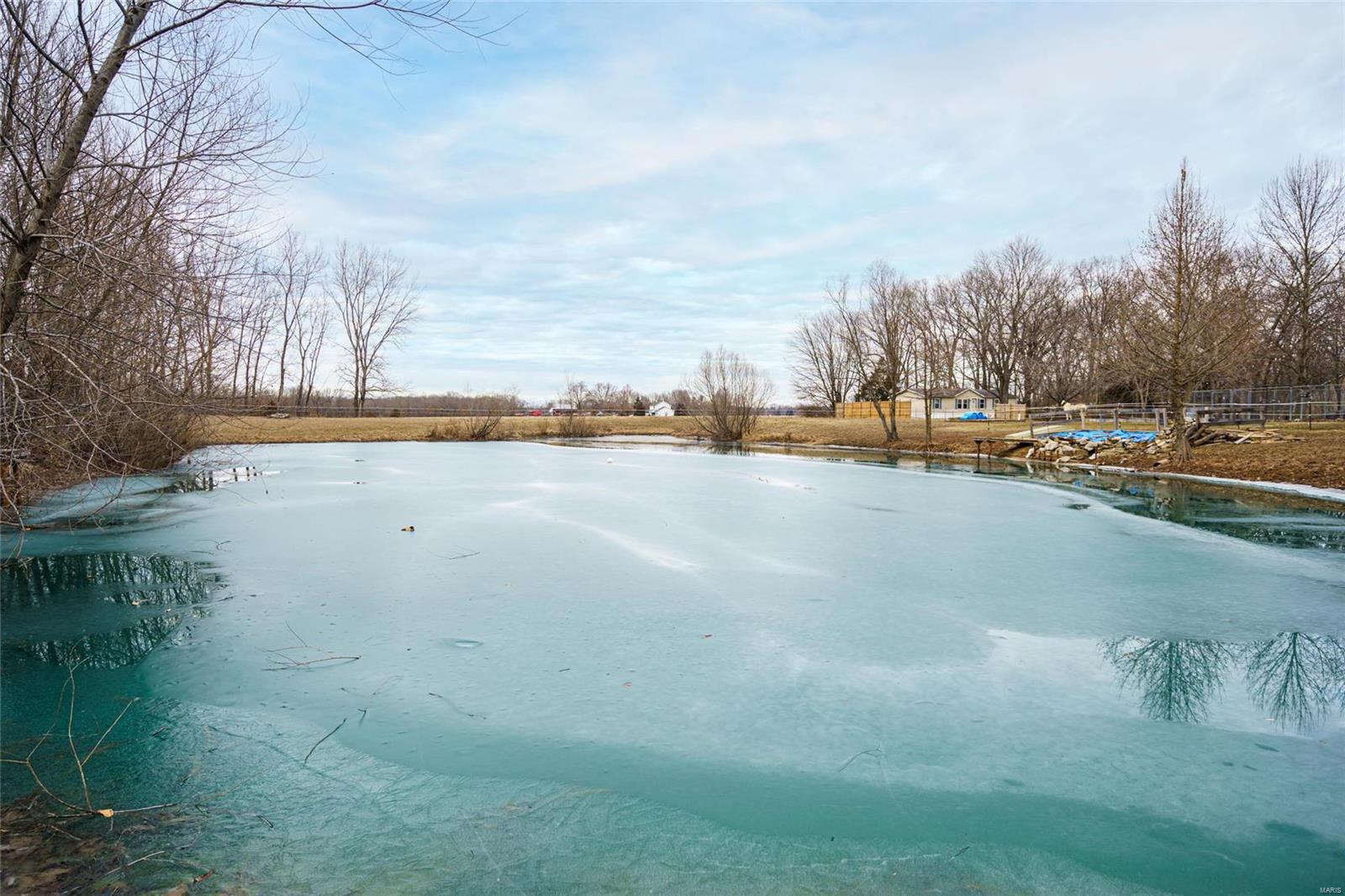 3851 Bono Road Staunton, IL 62088 - Photo 46 of 56