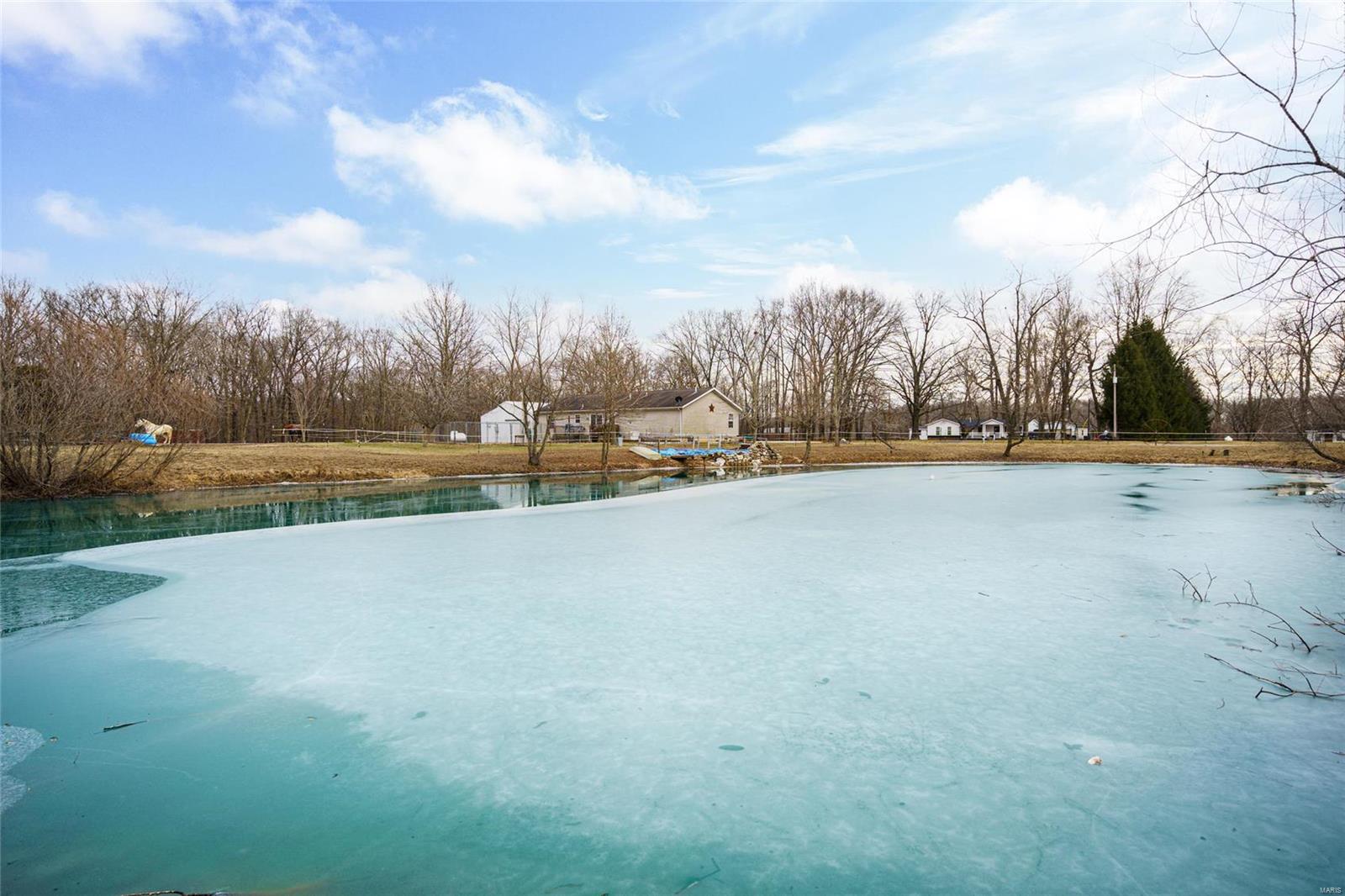 3851 Bono Road Staunton, IL 62088 - Photo 50 of 56