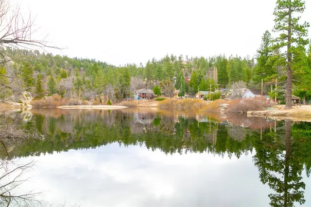 a view of a patio with couches table and chairs under an umbrella with large trees
