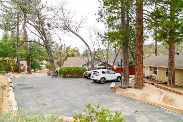 a view of path along with trees