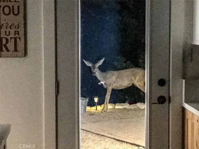 a utility room with a window washer and dryer